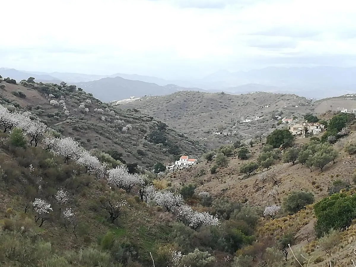 Casa Aguila 2.0 Bed & Breakfast Los Valverde